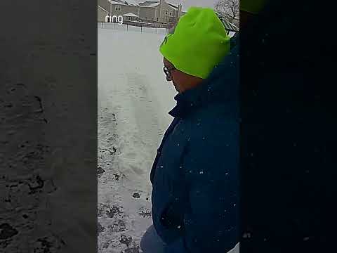 Building an igloo for your cats is the best way to spend a snow day! 🐈