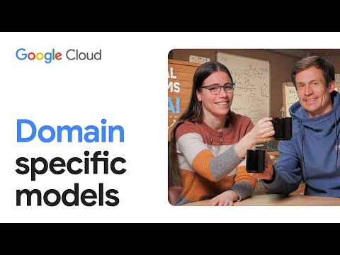 What are domain specific language models?