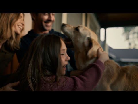 Search Party from Ring | Be A Hero In Your Neighborhood