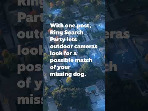 Did you know, Search Party For Dogs helps reunite 1 dog per day with their family—like Nyx!