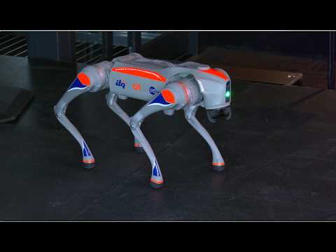 OpenShift Commons Amsterdam: ITQ – Sit, Stay, Deploy: Teaching a Robot Dog with OpenShift