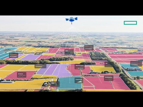 From data to dirt: DigiFarm applies AI to agriculture the boost yields, cut costs