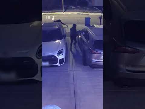 Survived the snow. ✅ Didn’t survive Ring Motion Warning. ❌🚨