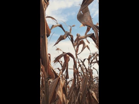 Farmwave uses Dell Rugged Pro tablets to run AI at the edge