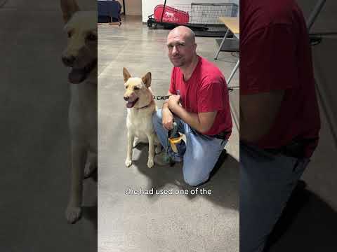 When Lainey went missing, neighbors helped this veteran bring her home with Search Party 💙