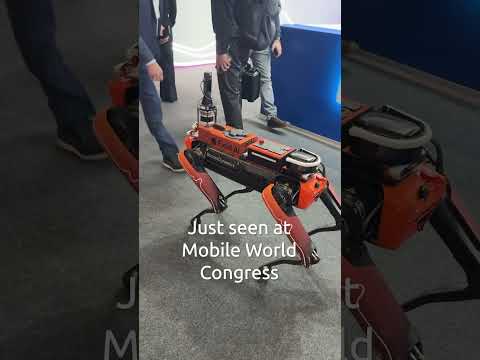 Robot Dog spotted at MWC 2026