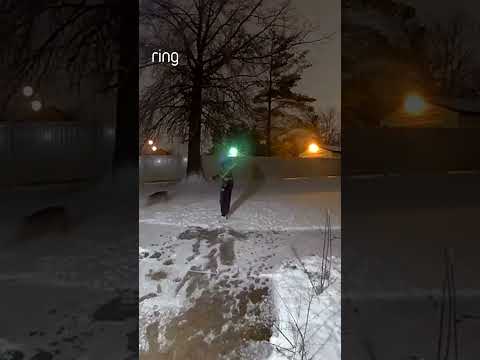 When the zoomies hit ❄️🐕😂