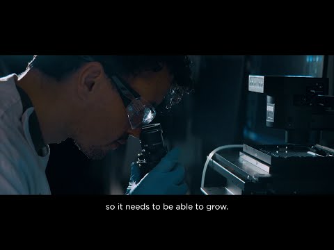 Accelerating research with AI at The University of Queensland