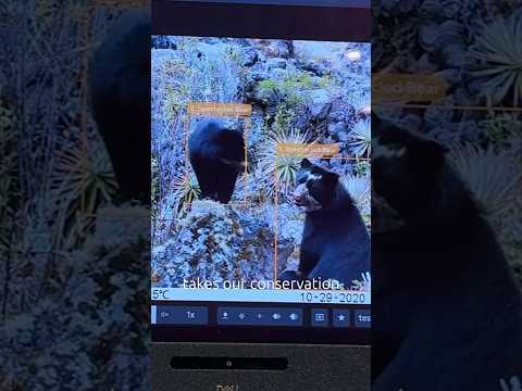 Ubuntu helps monitor wildlife conservation