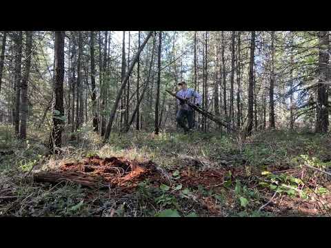 3 hours of forest cleanup in 3 minutes