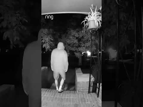 “They have a Ring”. One look at Dani’s Ring doorbell, and they were gone! 🔔
