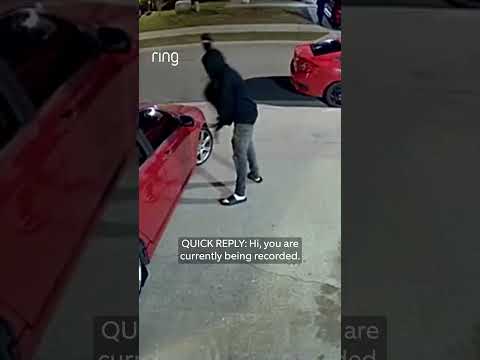 A group of people are seen checking cars, but Motion Warning sends them running! 🏃