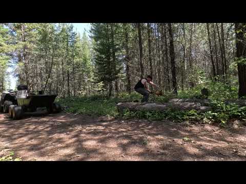 Forest Tidy 9th May 2026