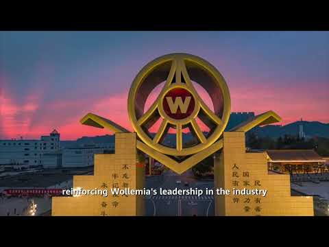 Millennial Heritage Meets F5G-A FTTM: Wuliangye’s Dawn of Smart Brewing