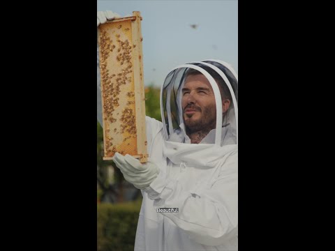 How Does David Beckham Do It All?