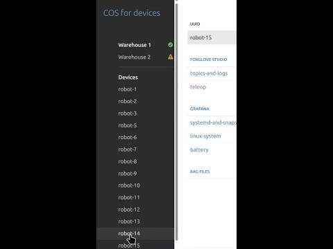 Ubuntu Core 26 fleet observability