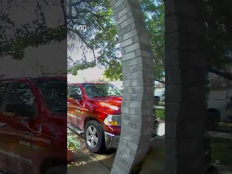 Richard wasn’t home when a deer hit his front door. Thankfully, he could see what happened on Ring 🦌