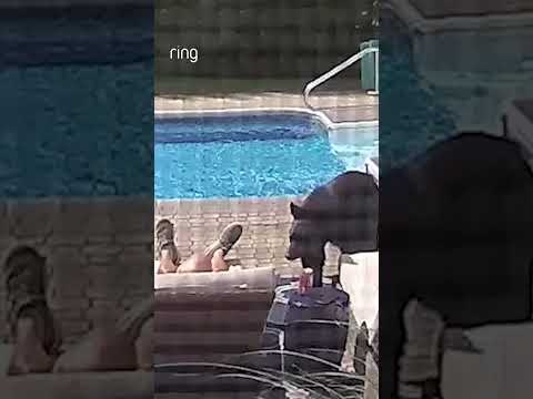 Not your average pool day 😂