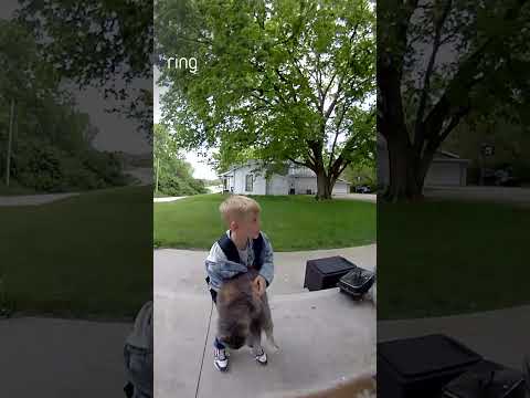 Nothing gets past Oliver!