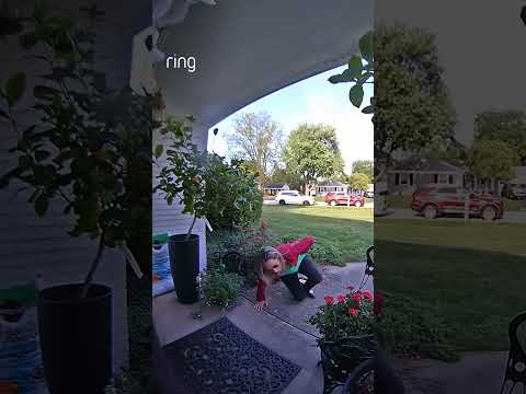 Planted a little harder than expected. 🌳😅