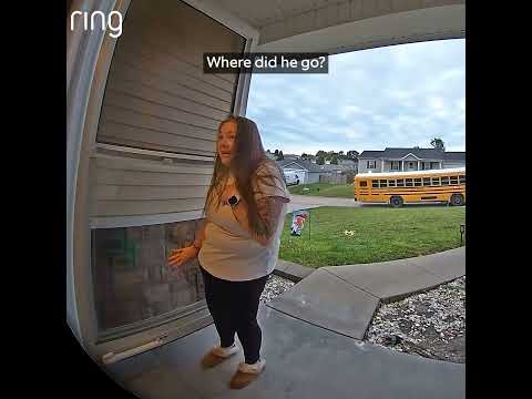 Ashley was sending her daughter off to school until a bird flew straight into the house. 🐦🤣