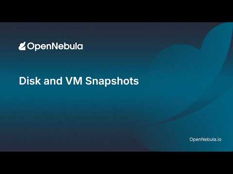 Disk and Virtual Machine (VM) Snapshots