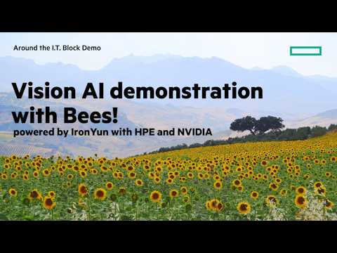 HPE Vision AI beehive demo