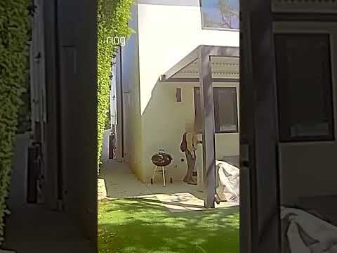 A stranger entered David’s yard in broad daylight, but left after being confronted via Two-Way Talk.